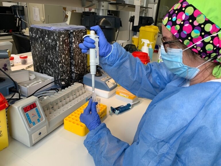 Equipos robotizados para hacer test masivos de PCR en los hospitales de Badajoz y Cceres 