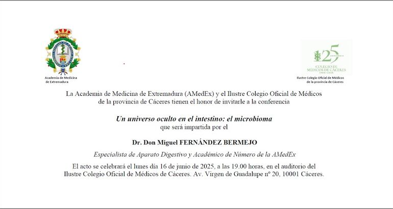 Conferencia Miguel Fernndez Bermejo Conferencia Miguel Fernndez Bermejo