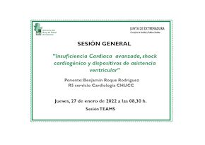  Insuficiencia Cardiaca avanzada, shock cardiogénico y dispositivos de asistencia ventricular