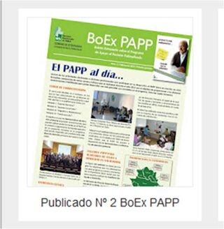 ENCUESTA. Participe en la encuesta sobre el Boletín de Apoyo al Paciente Polimedicado