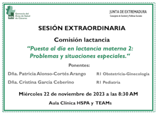 Puesta al día en lactancia materna 2: Problemas y situaciones especiales