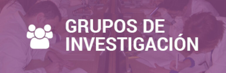 Resolucin de las Ayudas de Investigacin para los grupos de investigacin de Extremadura 20192020
