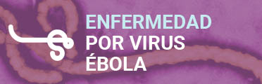 V ébola R2