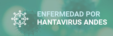 Hantavirus Andes